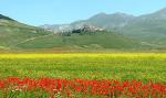 Castelluccio